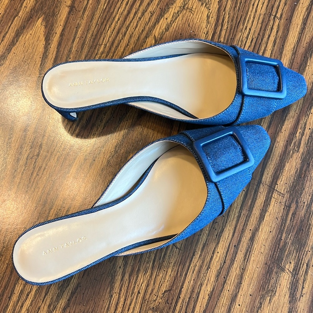 Ann Taylor Blue Jean Buckle Slide Size 7.5
